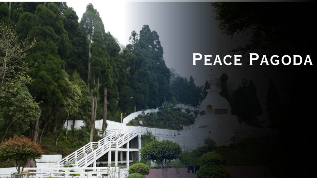 Darjeeling tour spot Peace Pagoda
