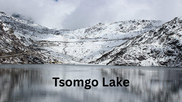 Darjeeling and Gangtok Tour Package