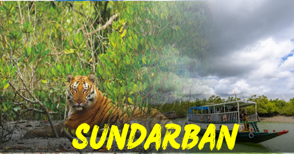 Sundarban Adventure Tourism