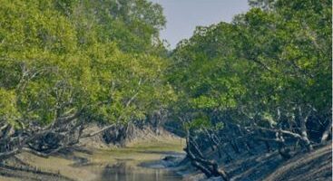 Sundarban tour package from Kolkata
