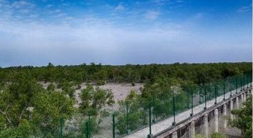 Sundarban Tour Package from Kolkata (6)